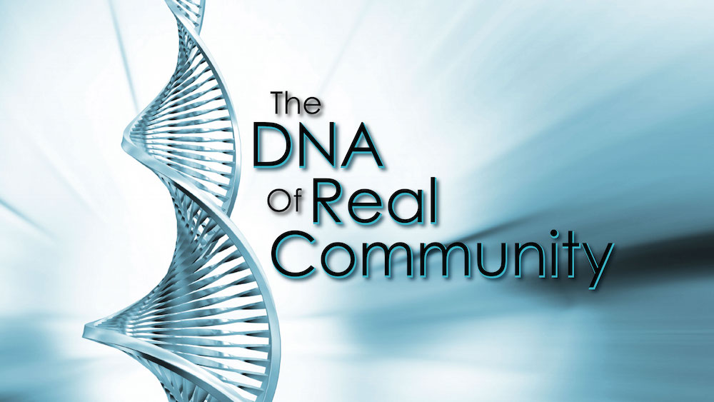 The DNA of Real Community