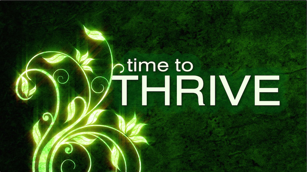 In this eight part series, we will be exploring God’s vision for our church and for your household together. When we submit to God’s plan for our lives, when we believe in the miraculous power of God, and when we commit to putting everything aside to pursue it, what could happen at WCC? What could happen at your house? Its time to thrive, not just survive at this house and your house.