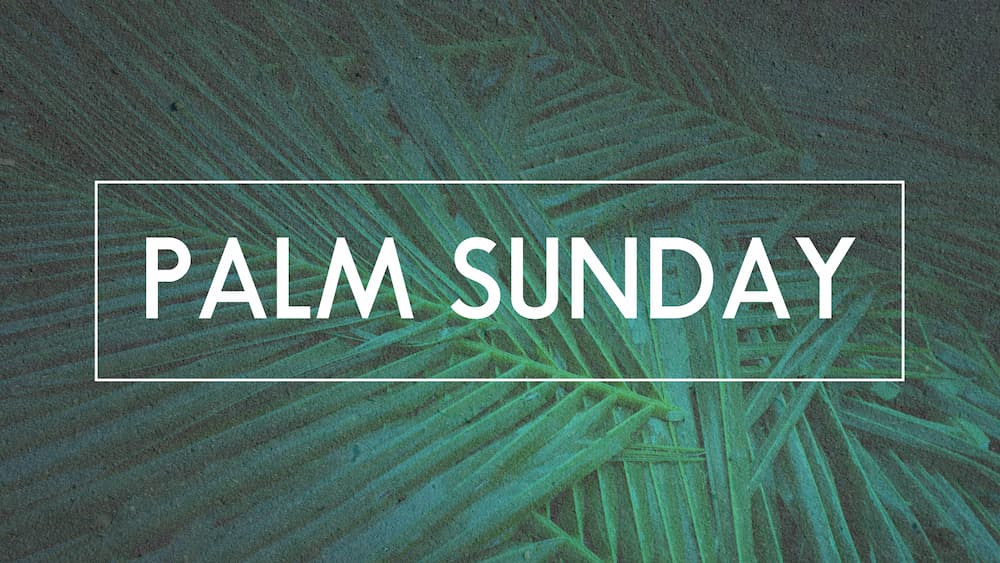 Palm Sunday